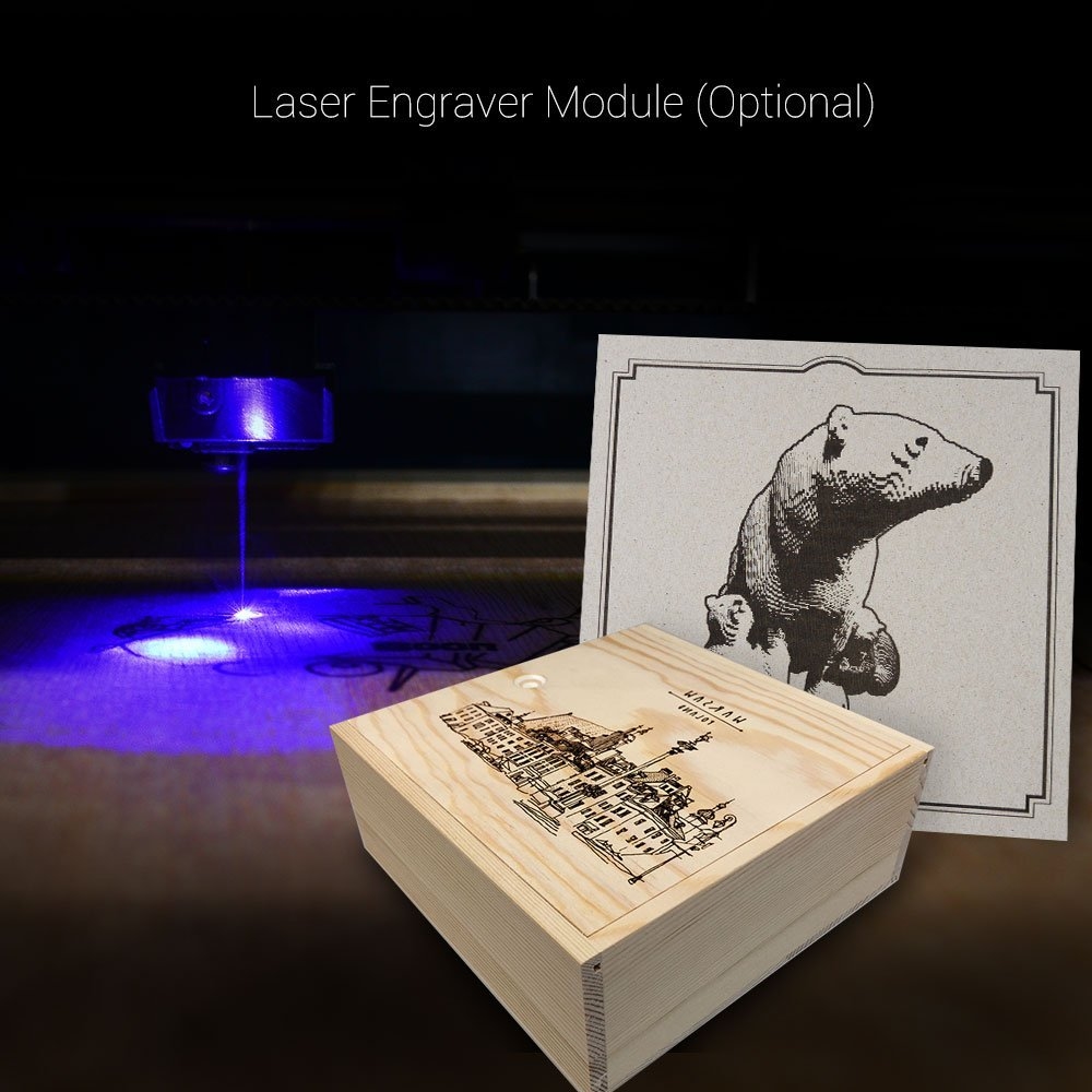 Picture for category Laser Engraver Module