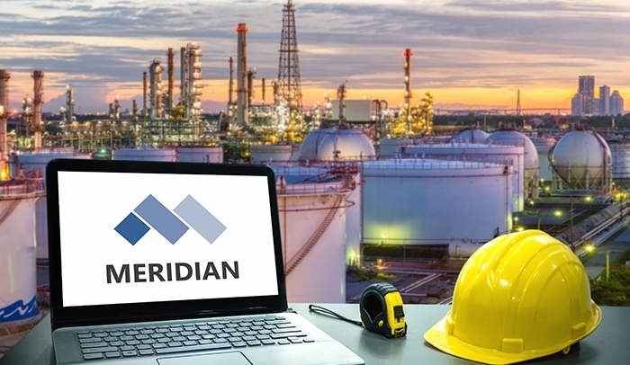 Picture for category Key Capabilities of Meridian: