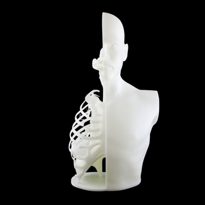 Picture of White Resin ZR500R
