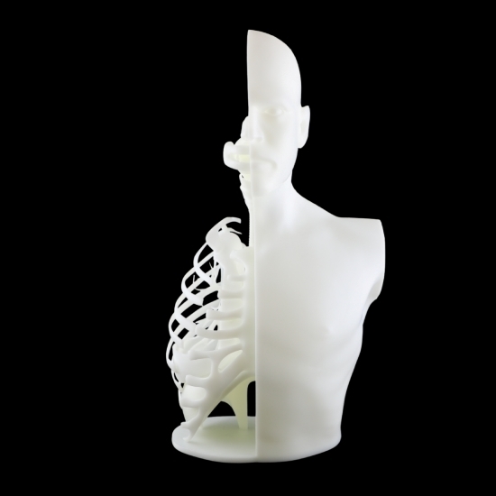 Picture of White Resin ZR500R